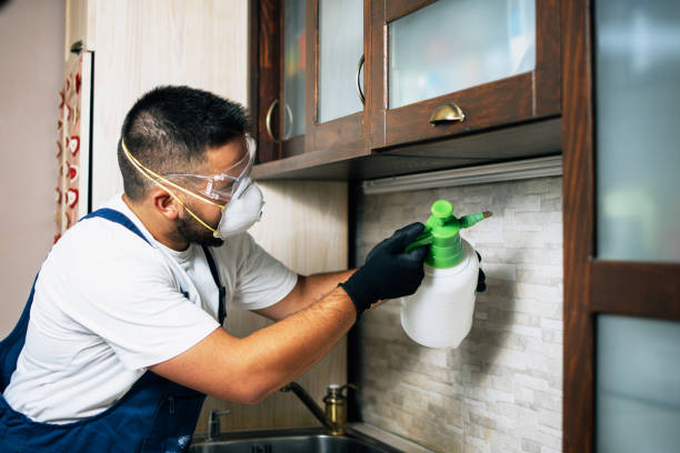 Best Wildlife Control Services  in Fruitport, MI
