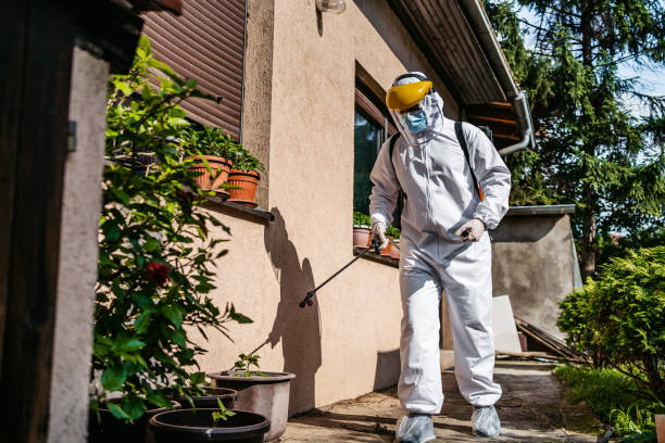 Best Pest Inspection Near Me  in Fruitport, MI