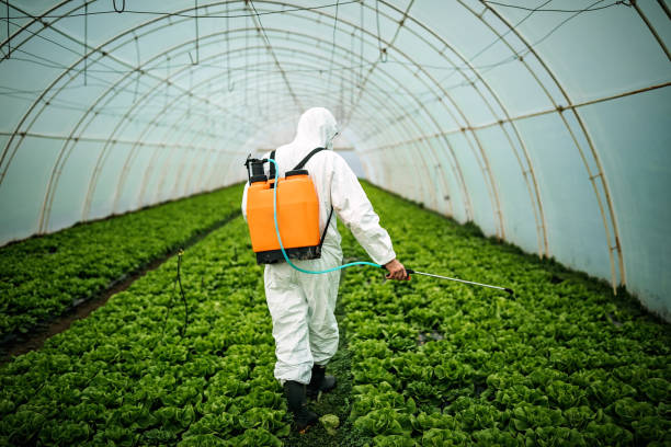 Best Residential Pest Control  in Fruitport, MI