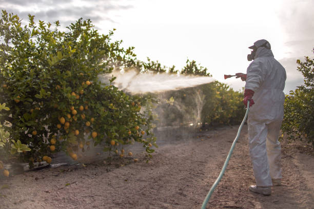 Best Affordable Pest Control Services  in Fruitport, MI