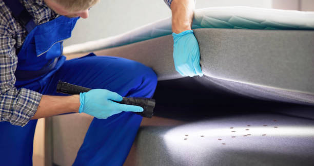 Best Mosquito Control Services  in Fruitport, MI