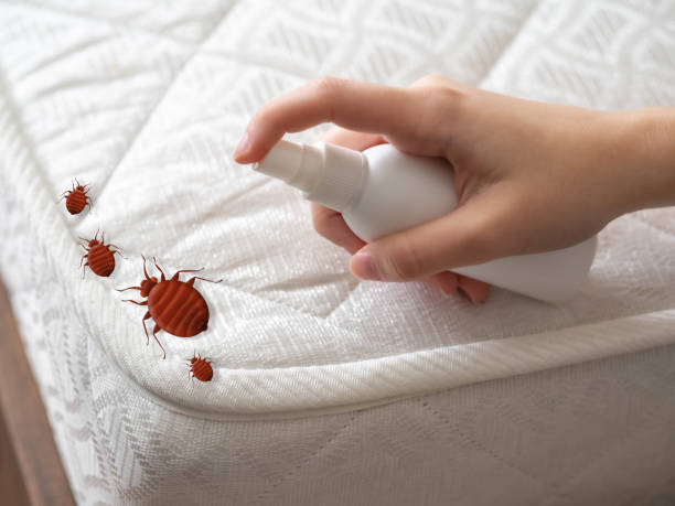 Pest Control Cost in Fruitport, MI