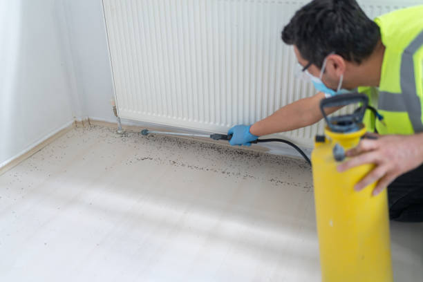 Best Pest Control Near Me  in Fruitport, MI