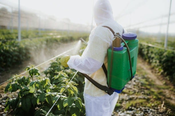  Fruitport, MI Pest Control Pros